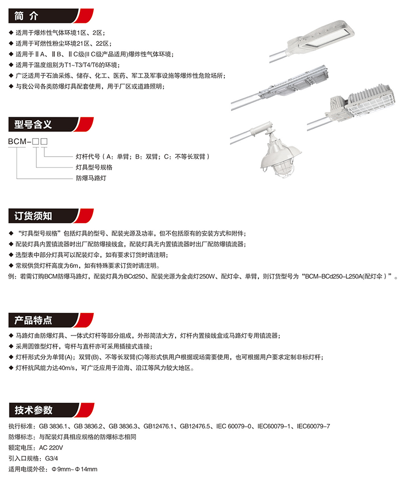 BCM防爆馬路燈