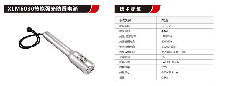 XLM6030節能強光防爆手電筒